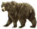 OSO