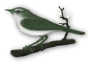 pajarito.gif (11090 bytes)