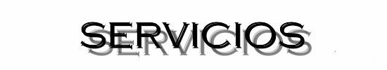 SERVICIOS